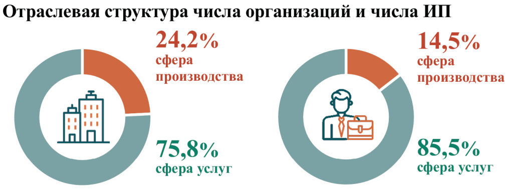 Отраслевая структура числа организации и числа ИП