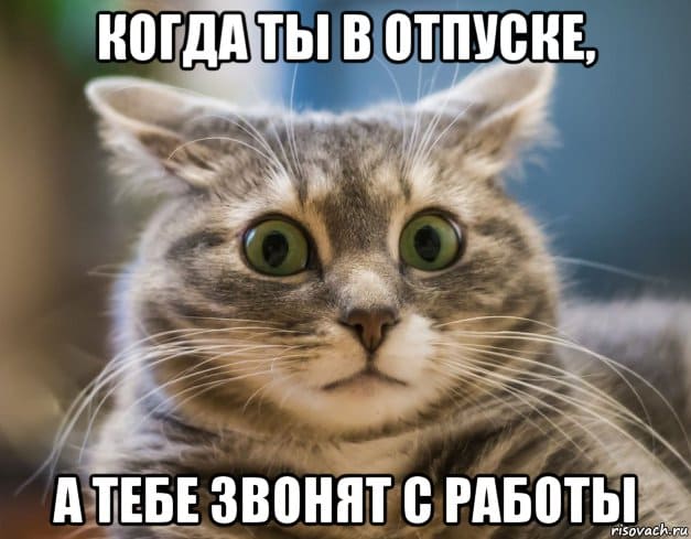 Трудовые отпуска в 2022 году