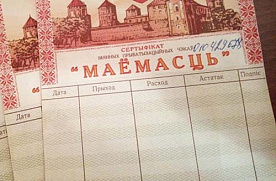 Что можно получить за чеки «Имущество»