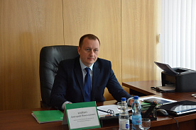 Корректировку Налогового кодекса проведут постатейно