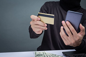 Россиян учат защищаться от пирамид в Интернете