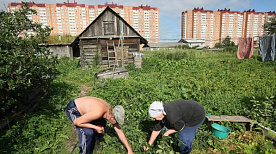 Свое, а не покупное. — Белорусы не спешат забывать об огородах и участках